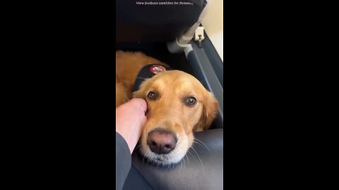 Emma experiencing her first plane ride ❤️