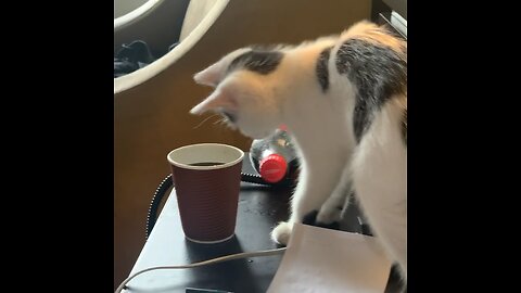 stormy discovering Coke