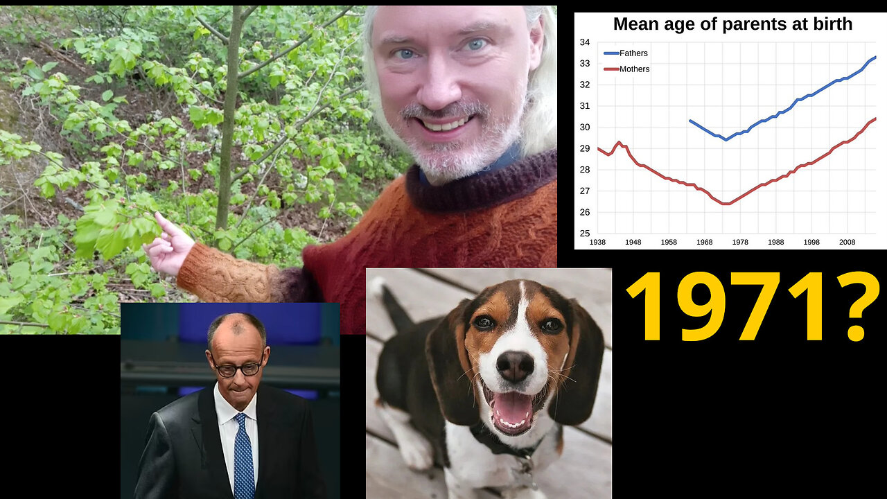 Why bad loans and 1971? Merz lost. Peace-broker Iran. Jeffrey 'Greta' Sachs. Omar vs ADL. RFKjr wins