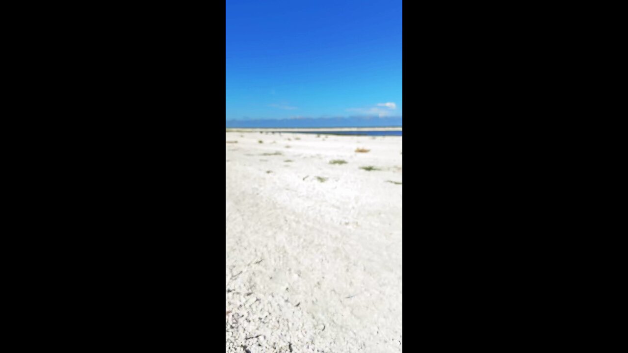 Livestream Replay | Second Chance Island & Goodland Via Starlink!