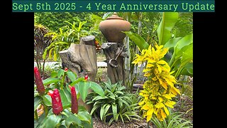 Sept 5th 2025- 4 Year Anniversary Update