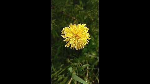 یک آهنگ ماندگار از مهستی عزیز