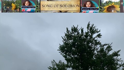 Song of Songs of Salomon Chapter: 1 June 25,2025