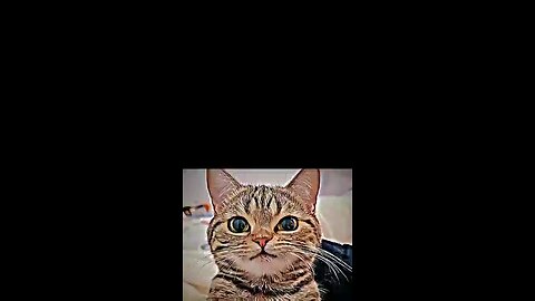 What country is this?