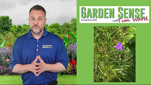 Garden Sense with Tim Ward - 05.14.25