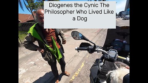 Diogenes the Cynic The Philosopher Who Lived Like a Dog