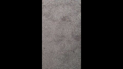 test 1