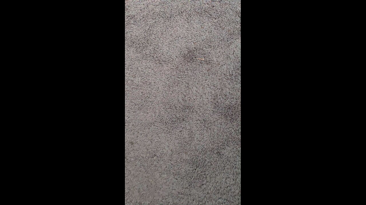 test 1