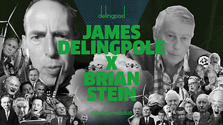 Brian Stein