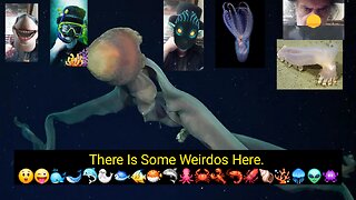 Mar Del Plata Has Strange Creatures. 😲😜🐳🐋🐬🦭🐟🐠🐡🦈🐙🦀🦞🦐🦑🐚🪸🪼👽👾