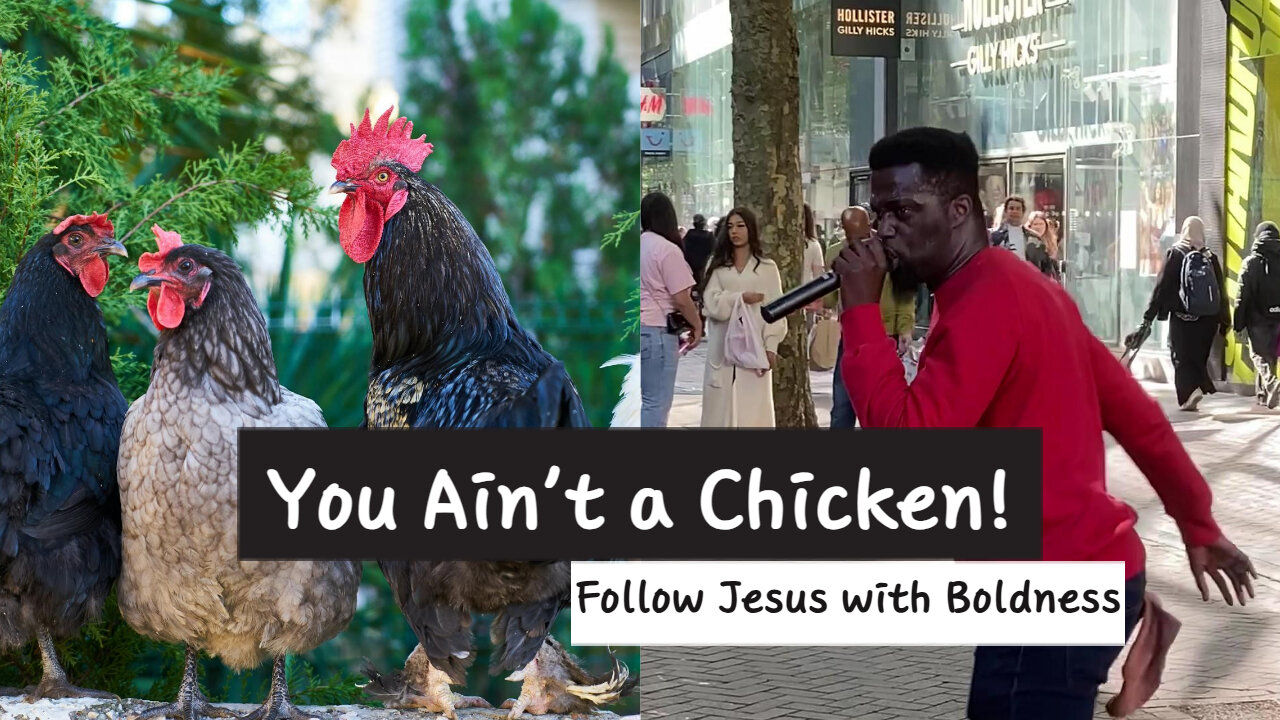 You Ain’t A Chicken! Follow Jesus With Boldness 🐔✝️🔥