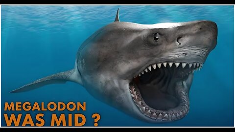 Megalodon: Everything You Know Is Wrong – Real Science 2025