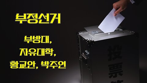 부정선거1] 부방대
