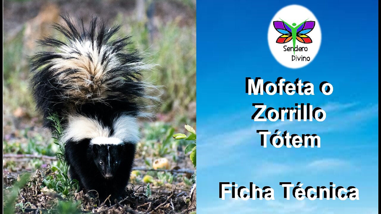 😊 MOFETA O ZORRILLO TÓTEM 😊