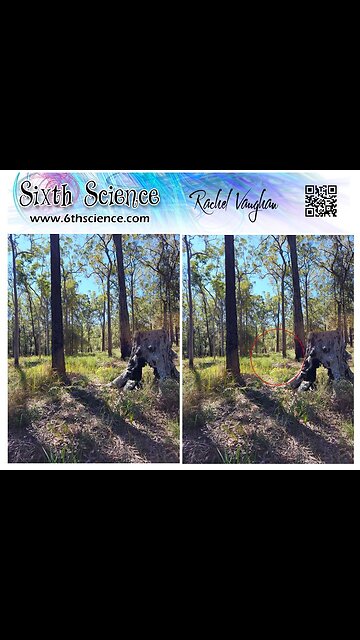 Living Free Festival Ley Line Walk & talk short 26 sec vid