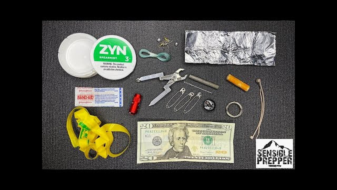 Zyn Micro Survival Kit