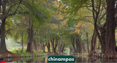 4 - chinampas wetlands art
