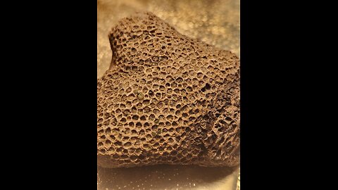 Bee Shows off its Lamborghini Diablo Style Wiper blades for its Air Frame.