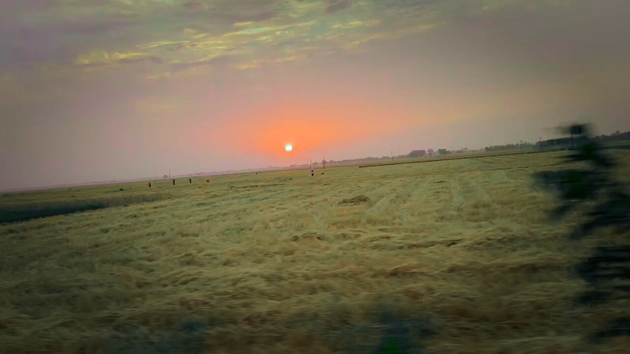 natural video
