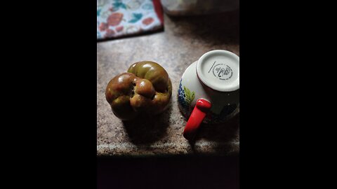 Save your Tomato part 2