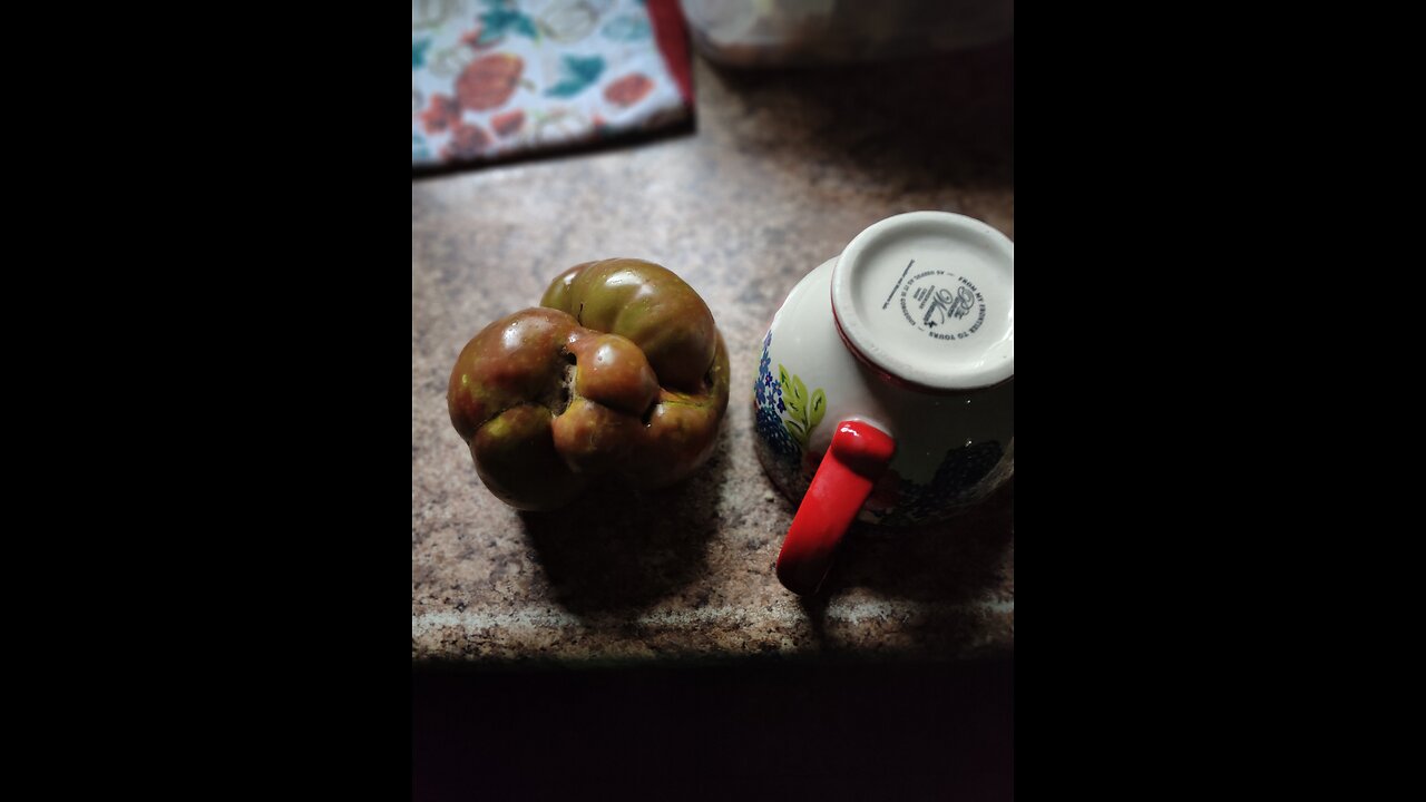 Save your Tomato part 2