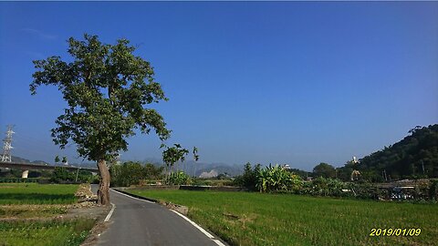 19_0109 Green Fields