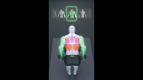 The RIGHT Way to Train Your Back No More Wasted Workouts!