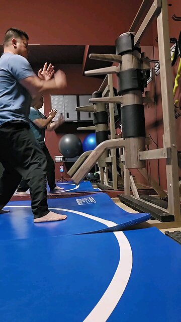 WTD Wooden Dummy Combination 4