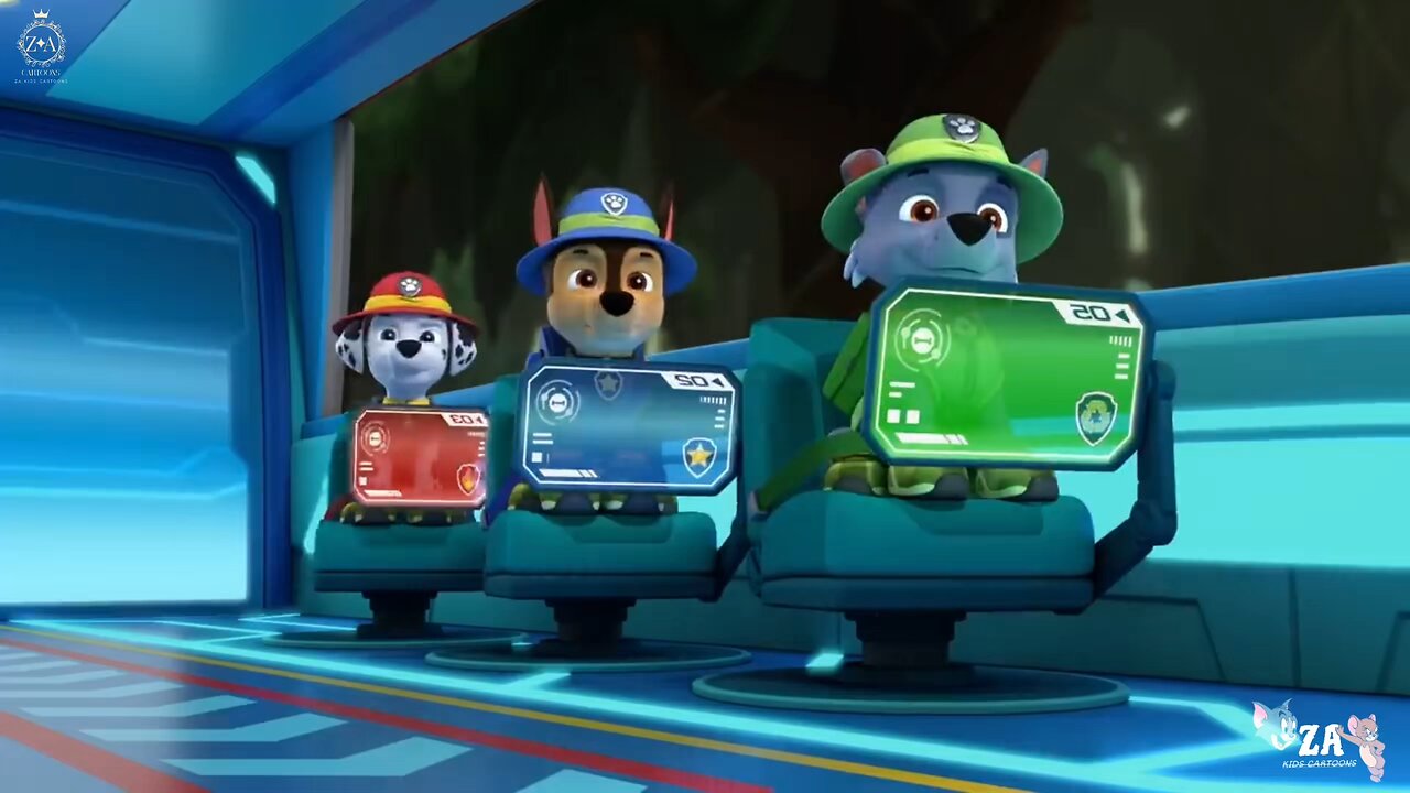 PAW Patrol Cartoons
