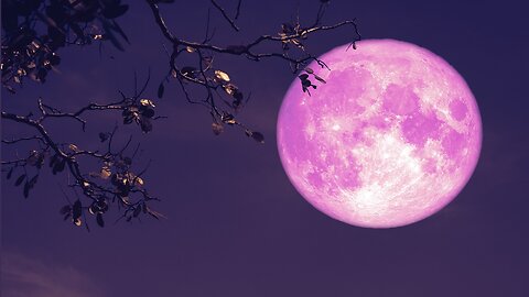 Full Pink Moon Rises Tomorrow -Snowy Spring Pattern In The Models - Explosive Plan to Terraform Mars