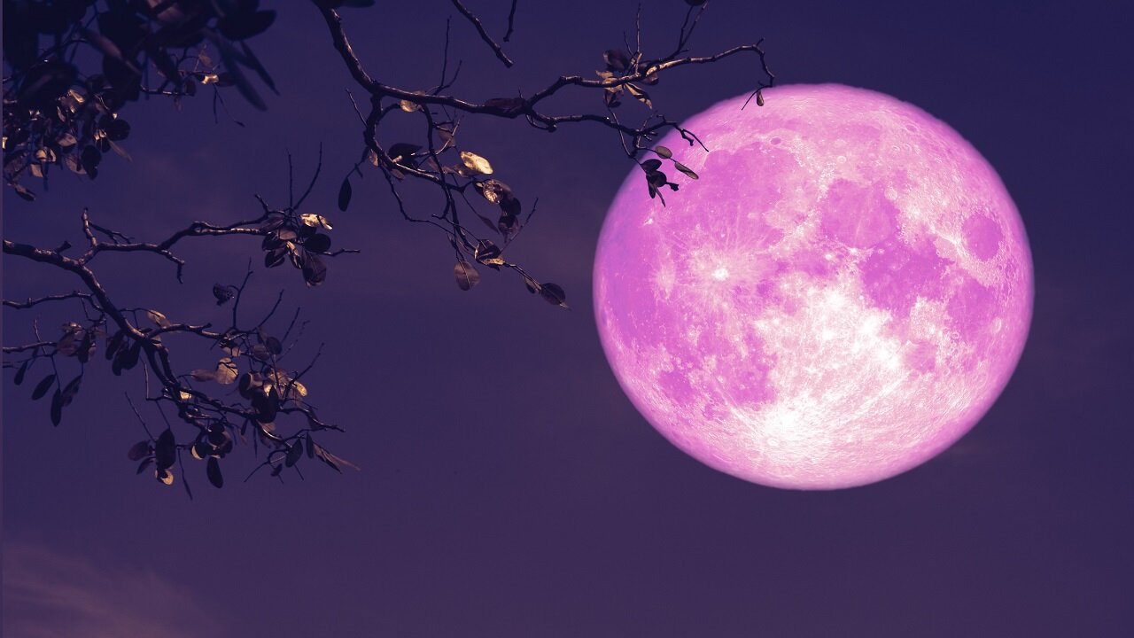 Full Pink Moon Rises Tomorrow -Snowy Spring Pattern In The Models - Explosive Plan to Terraform Mars
