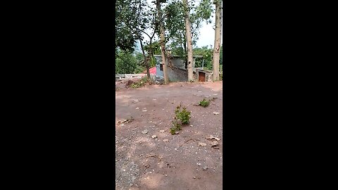 beautiful view