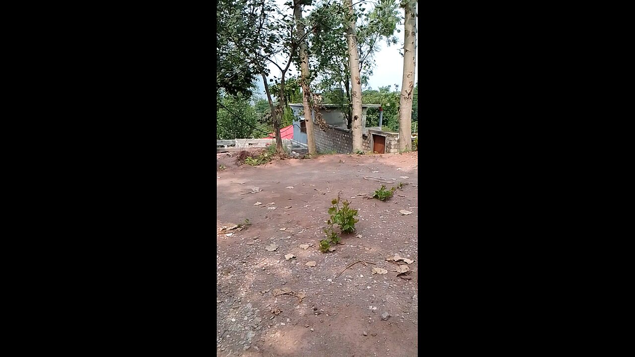 beautiful view