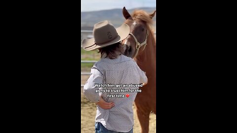 Young Man Horse Whisperer Helps Abused Horse