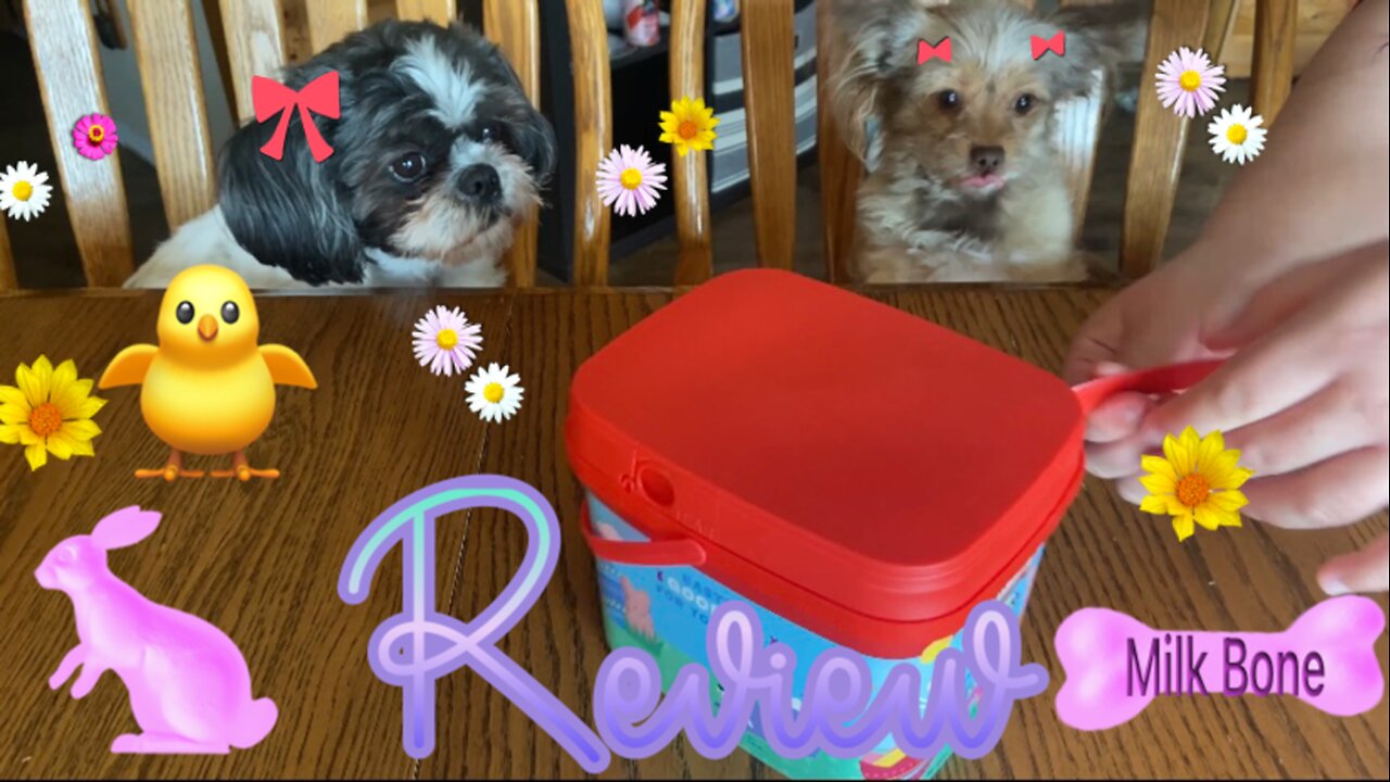 Dogs Review Milk-Bone Peeps Marshmallow Flavor Dog Treats