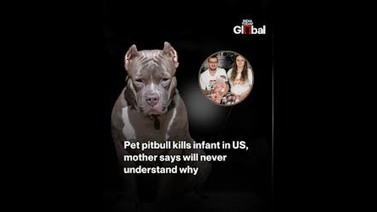 MAULED BY A PITBULL!