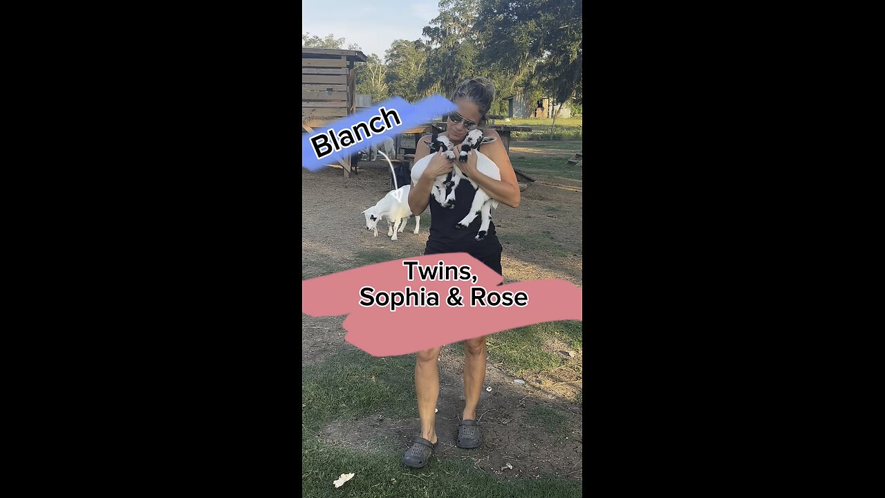 Blanch has two very cute twins, Sophia and Rose!