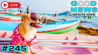 Hero Dog Saves 2 Lives, $50K for a Hero & $100K for Dogs | GOOD NEWS – Infinite Hope # 245