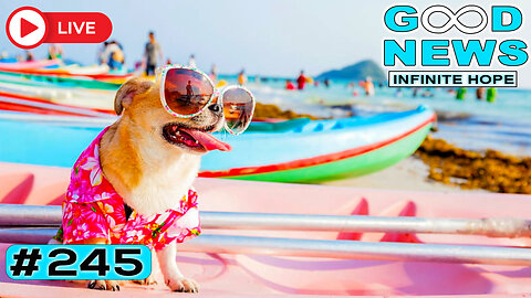 Hero Dog Saves 2 Lives, $50K for a Hero & $100K for Dogs | GOOD NEWS – Infinite Hope # 245