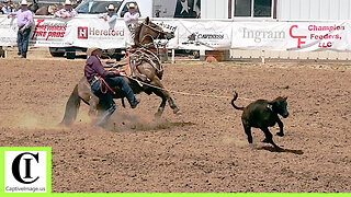 Junior Tie-down Match Roping Part 2🐂 2024 Spicer Gripp Memorial Roping