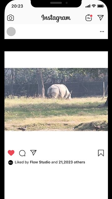 🦏 This Gentle Giant Rules the Grasslands of India #OneHornedRhino #IndianWildlife