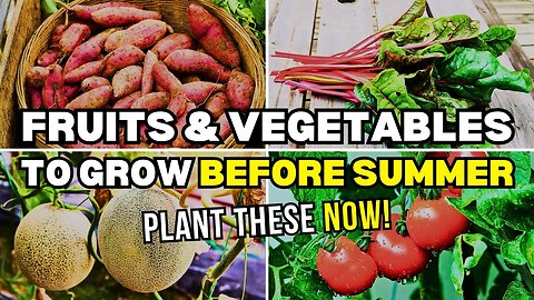 12 Fruits and Vegetables You Must Plant Before June | G09