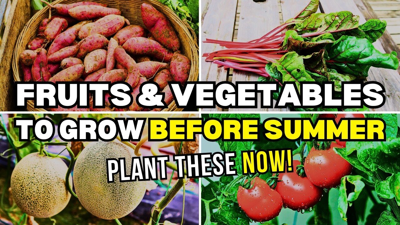 12 Fruits and Vegetables You Must Plant Before June | G09