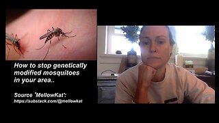 How to stop genetically modified mosquitoes in your area..