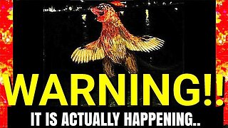 ''Strange Videos That Have Me Extremely Puzzled''