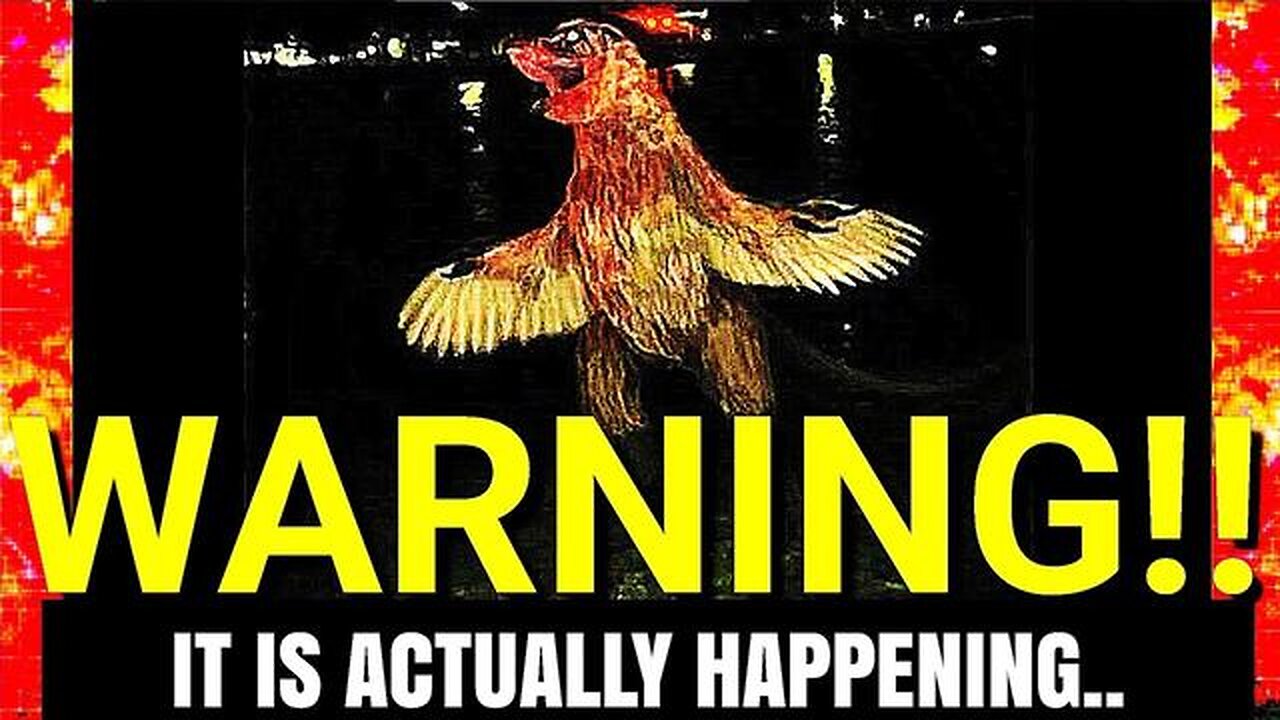 ''Strange Videos That Have Me Extremely Puzzled''