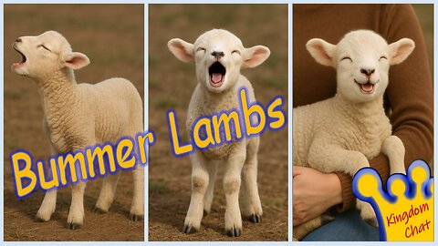 Bummer Lambs - Episode 71