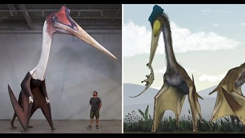 Giant Flying Lizards: An Appeal to Reason