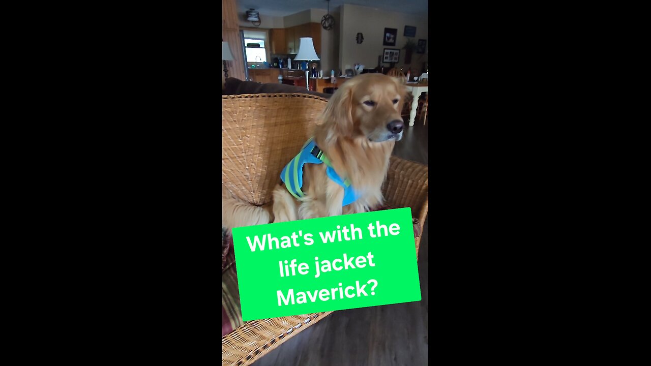 What's with the life jacket Maverick?