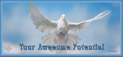 David J. Smith - 463 - Your Awesome Potential